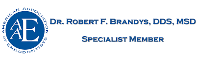 Dr. Robert F. Brandys, DDS, MSD, LTD